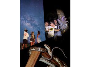 [Miyakojima - Pickup and drop-off available / Small group size] Coconut crab and stargazing photography! Coconut crab encounter rate remains 100%! Same-day reservations accepted! A night tour in search of creatures that only appear at night!