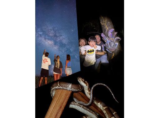 【미야코 섬 | 당일 17:00까지 예약 OK! 】 송영 대응 가능! 가족으로 즐기는 두근두근 밤의 대탐험 |야자게 조우율 100% 계속중! 데이터 모두 선물!の画像