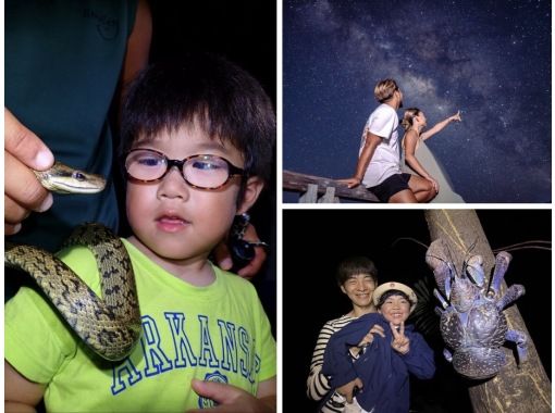 【宮古島｜送迎可能！当日18:00まで予約OK！】ヤシガニ遭遇率100%継続！星空撮影&ワクワクジャングルナイトツアー！の画像