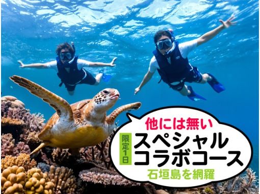 [Ishigaki Island] Snorkeling, SUP, Kayaking - A one-day special collaboration tour of the island's famous spots, Kabira Bay, Blue Cave, Healing Falls, Yaima Village, Jungle, and Mangroves!の画像