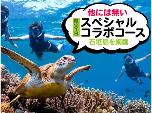 [Ishigaki Island] The ultimate one-day special tour! Touring the island's sights and snorkeling, SUP and kayaking SPの画像