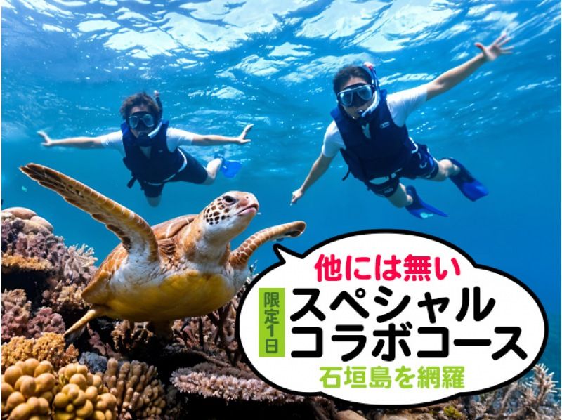 [Ishigaki Island] Snorkeling, SUP, Kayaking - A one-day special collaboration tour of the island's famous spots, Kabira Bay, Blue Cave, Healing Falls, Yaima Village, Jungle, and Mangroves!の紹介画像