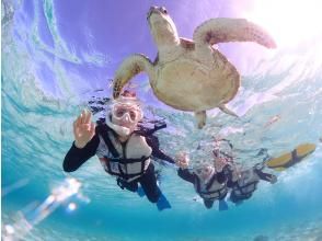 Miyakojima/Private tour《Enjoy a great deal with a student discount!》Very popular! [Sea turtle snorkeling] with a 100% encounter rate★Reservations available on the day!★Free photo data!