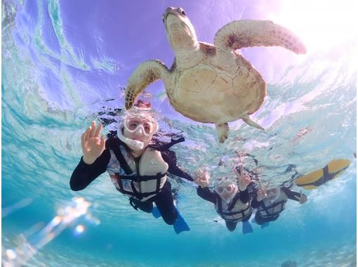 Miyakojima/Private tour《Enjoy a great deal with a student discount!》Very popular! [Sea turtle snorkeling] with a 100% encounter rate★Reservations available on the day!★Free photo data!の画像