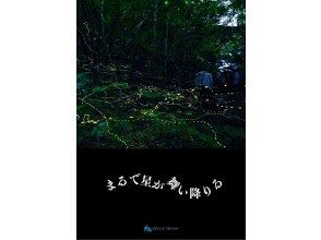【当日予約OK】＜3月〜5月下旬＞星が地上に降りてきたかのような＜石垣島を照らすホタルツアー＞四季を感じる夜の冒険【送迎無料】