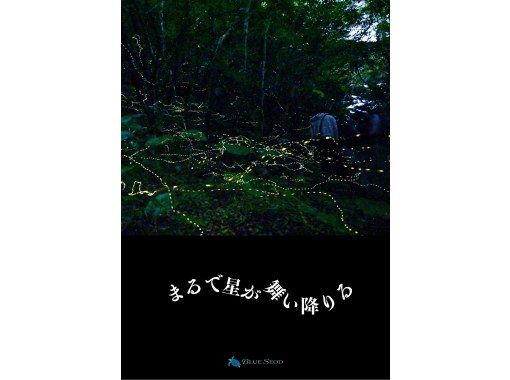 【当日予約OK】＜3月〜5月下旬＞星が地上に降りてきたかのような＜石垣島を照らすホタルツアー＞四季を感じる夜の冒険【送迎無料】の画像