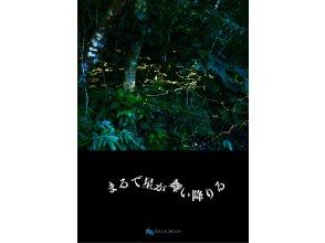 【学割】【当日予約OK】＜3月〜5月下旬＞星が地上に降りてきたかのような＜石垣島を照らすホタルツアー＞四季を感じる夜の冒険【送迎無料】