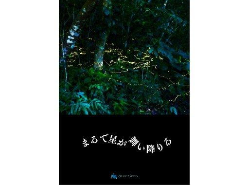 【学割】【当日予約OK】＜3月〜5月下旬＞星が地上に降りてきたかのような＜石垣島を照らすホタルツアー＞四季を感じる夜の冒険【送迎無料】の画像