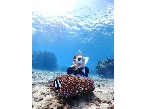 【宮古島/当日予OK!!】★大人気シュノーケルプラン！美ら海シュノーケリング！綺麗な熱帯魚を観察しよう！ウミガメも遭遇できちゃうかも！の画像