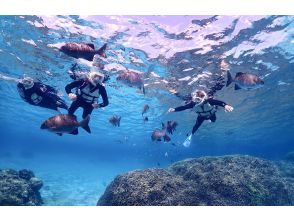 宮古島・2時間・貸切【お一組様限定シュノーケルフォトツアー】アテンドシュノーケル★機材レンタル&フォト無料《動画付!写真高品質クオリティ》