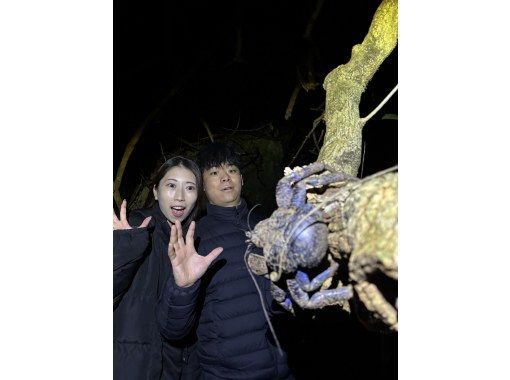 【宮古島・1~2h・生き物・星空】生き物探し探検★ジャングルナイトツアー★夜行性の生き物を探しに行こう！星空も楽しめる♪手ぶらで参加OKの画像