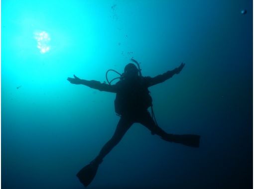 【大阪発・和歌山】初心者大歓迎・ライセンス不要！体験ダイビング★1人参加OK／魚を間近で見ようの画像