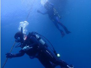 【大阪発・和歌山】ライセンス持ち集まれ！迷子ダイバーもwelcome！和歌山の海でリフレッシュしましょう★ボート２DIVE（2人で参加）