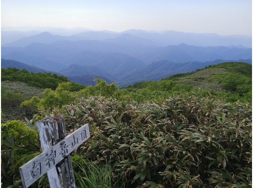 【秋田・白神山地】世界自然遺産・白神岳ガイドツアー 日本海とブナ原生林を一望！の画像