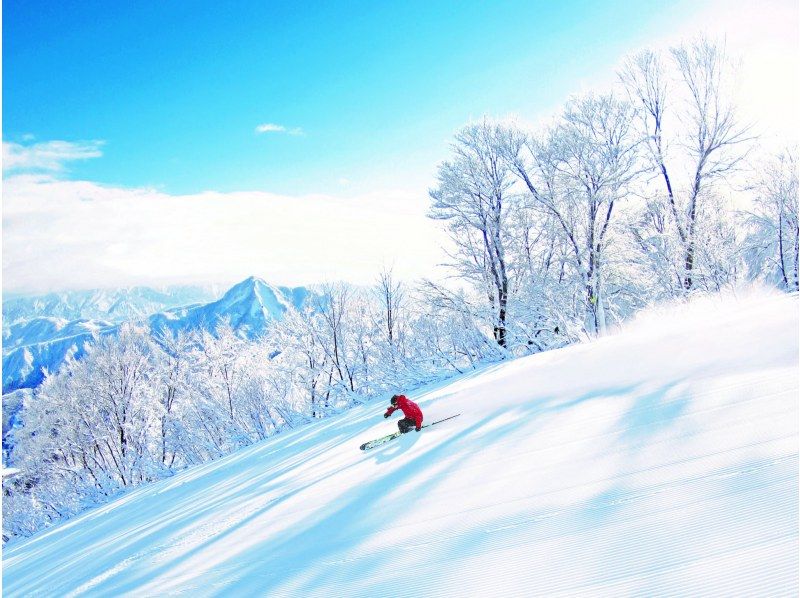 [新潟/石內] 乘坐上越新幹線從東京出發的滑雪和單板滑雪一日遊計劃〜包含前往石內丸山滑雪場的纜車票的絕佳計劃！の紹介画像