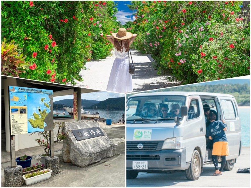 [Iriomote Island/Half-day] A short trip to Iriomote Island! A guided photo tour of popular spots [Photo data/Free pick-up and drop-off]の紹介画像