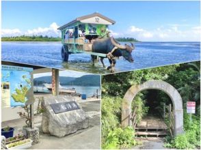 Iriomote Island ADVENTURE PiPi