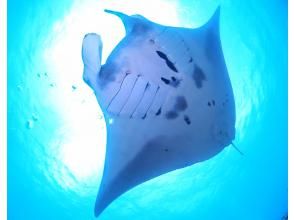 南ぬ島DIVESITE（ぱいぬしまダイブサイト）
