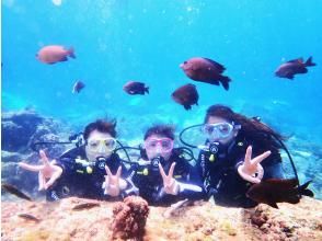 ＤＩＶＥ　海とき