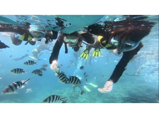 【沖縄県／那覇発】半日チービシ諸島・無人島スノーケリング＆スキンダイビング　透明度抜群の海でウミガメ遭遇チャンス！の画像