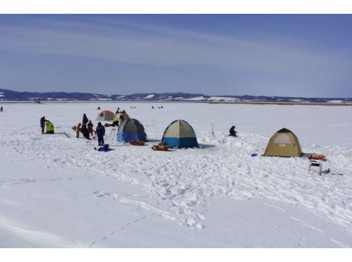 [Hokkaido, Sapporo] Experience smelt fishing on ice ~ Fishing rod + reel options available so even veteran anglers can enjoy it! (Pick-up and drop-off available)の画像