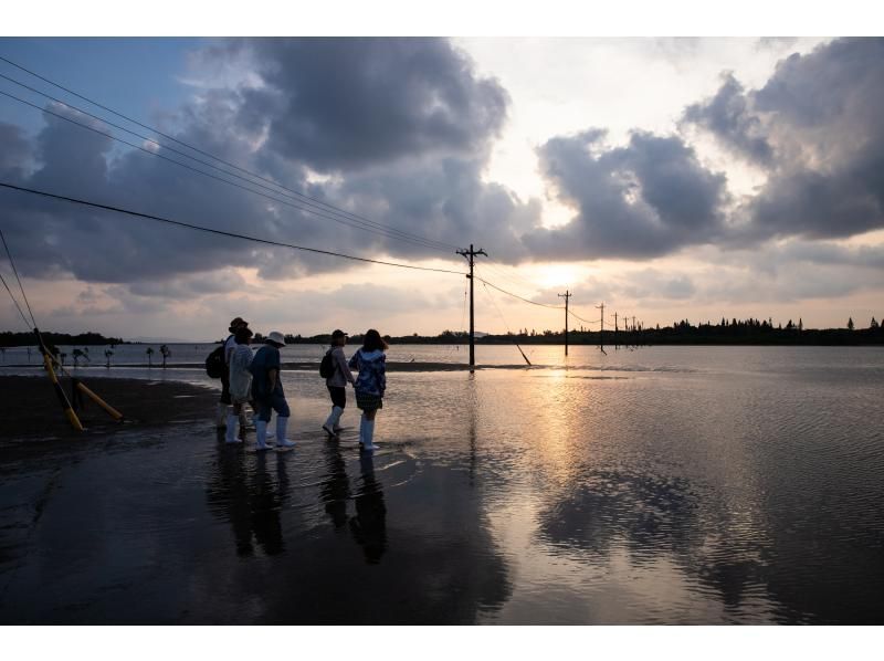 [Okinawa Yaeyama area] Early morning tour! Cross the shallows to Yubu Island - Enjoy breakfast while watching the sunrise. On the way back, see us off in a water buffalo cart!の紹介画像