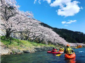 [ชิงะ・ พายเรือแคนูบิวะโกะ] ชมดอกซากุระทัวร์ชมการพายเรือแคนู (180 นาที)! ※เวลาที่ จำกัด ※