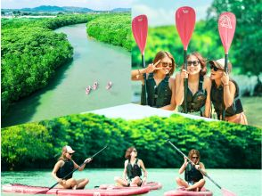 Featured in ANA magazine. Highly popular! Family discounts available. Mangrove SUP. Japan's largest tropical jungle adventure! [Ages 2-85] Same-day admission available! Free pick-up and drop-off, free photos, showers available.