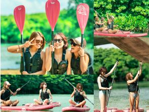 ★Student discount★ [Mangrove SUP] Natural rainforest SUP [Lowest price in the industry] Family discount★ Available on the day [2 hours] [Experience the rainforest of Ishigaki Island, the largest in Japan!]