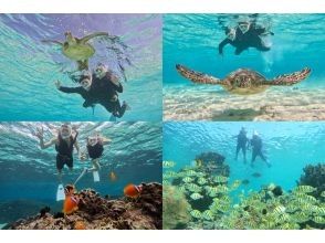 [Okinawa, Miyakojima] An impressive experience at two beaches ♪ Sea turtle, coral and fish snorkeling! A safe, secure, comfortable and luxurious plan at a store gathering place just 15 minutes walk from the city!