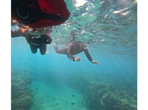 【沖縄本島・北部】1組限定貸し切りシュノーケリング〜沖縄の海を贅沢に楽しむ！（写真・動画撮影無料）の画像