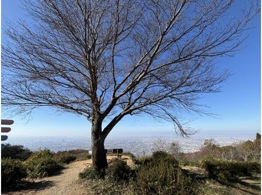 【初心者・お子さまでも安心】生駒山頂から大阪の絶景を見下ろそうの画像