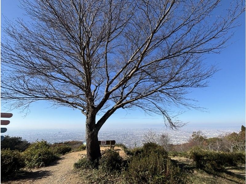 [Safe for beginners and children] Look down on the spectacular view of Osaka from the top of Mt. Ikomaの紹介画像