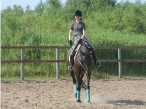 [Hokkaido Nanporo] experience horse riding course