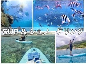 Private plan [Near Churaumi] Snorkeling & SUP plan [Photo shoot, feeding experience, towels included] Motobu, Kitabu, Nago 