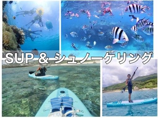 แผนเช่าเหมาลำโดยสมบูรณ์ [ใกล้ Churaumi] การดำน้ำตื้น(Snorkeling) & แผน SUP [รวมภาพถ่าย, ประสบการณ์การให้อาหาร, ผ้าเช็ดตัว] สำนักงานใหญ่ / ภาคเหนือ / นาโงะ の画像