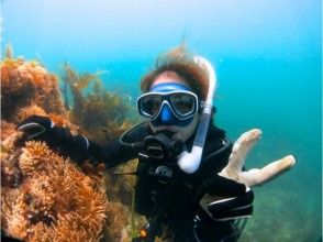 [Kanagawa ・ Yokohama 】 First Challenge Welcome! Experience at Aksy Diving Enjoy the day tripの画像