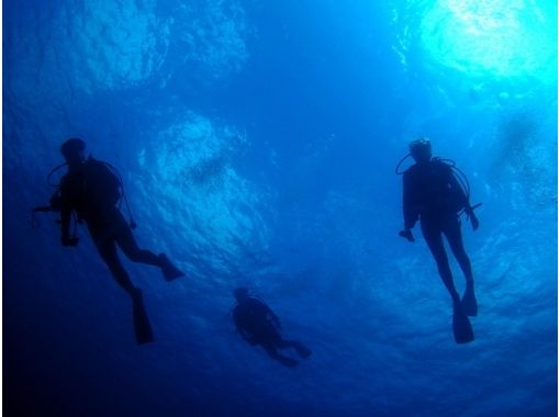 【Experience Diving(Hatsushima)] To the big sky named the sea! ! Experience Diving courseの画像