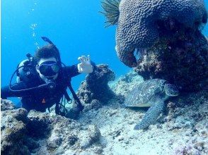 【石垣島・川平湾】午前 ダイビング2本コース マンタやウミガメと泳げる本格ダイビング体験！