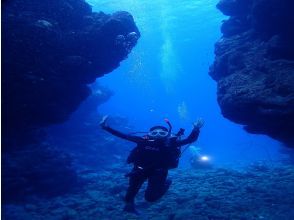 【石垣島・川平湾】1日ファンダイビング4本コース(要ライセンス）ウミガメやマンタ、ダイナミックな地形を楽しもう！