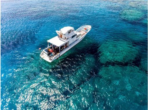 [Departing from Naha, Okinawa] Half-day Okinawa plan - Enjoy diving and snorkeling around the uninhabited islands that are a 30-minute boat ride from Naha!の画像