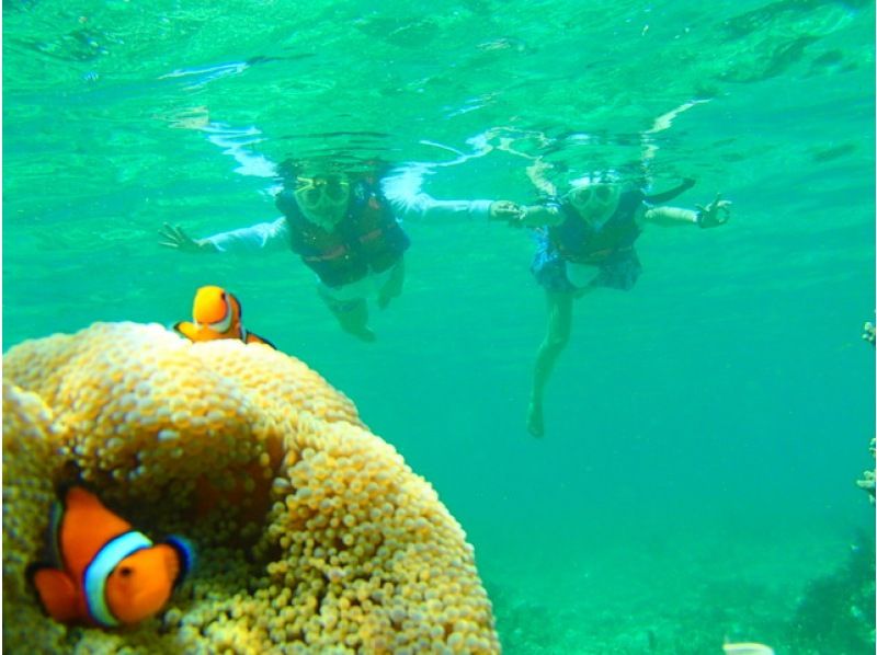 [Okinawa, Ishigaki Island] Easily accessible from the beach in front of the hotel! Beach snorkeling tour ★ Empty-handed OKの紹介画像