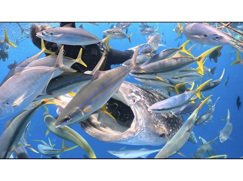 【北海道・SUP体験】透明度の高い支笏湖の湖面をクルージング！SUP体験（半日コース）の画像