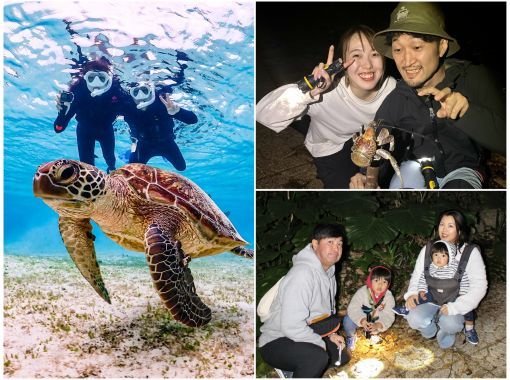 [Miyakojima/same-day reservations OK!!] [Great student discounts available!!] 100% encounter rate continues! Set plan for sea turtle snorkeling and starry jungle night tour♪の画像