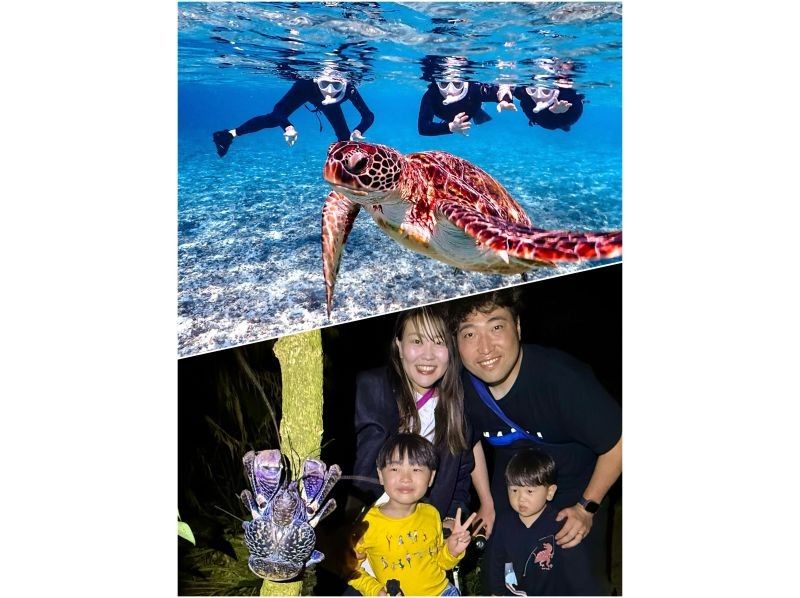 【宫古岛/当天预约OK！！】【超值套餐！！】海龟浮潜＆热带丛林夜间游套餐♪の紹介画像