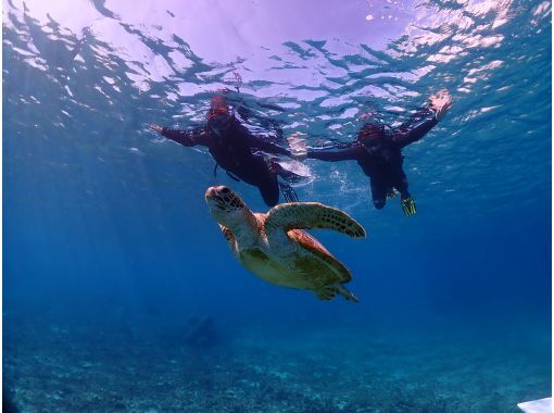 【沖縄・宮古島】⭐️アルファード送迎付⭐️一組限定・貸切　超豪華VIP ウミガメシュノーケリングorスキンダイビングツアー！の画像