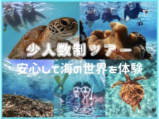 宮古島【シュノーケリング】少人数制ツアーだからシュノーケル初心者でも安心！《高確率でウミガメ遭遇》★データ全て無料★シュノーケルツアーの画像