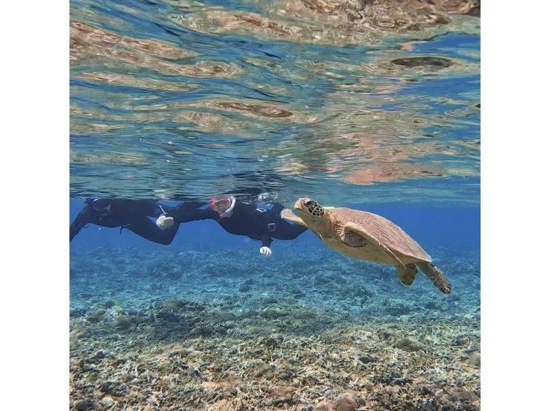 【沖縄離島・座間味島】手ぶら・日帰りOK！オフシーズン向け！１ポイント行く半日ボートシュノーケリングツア－！