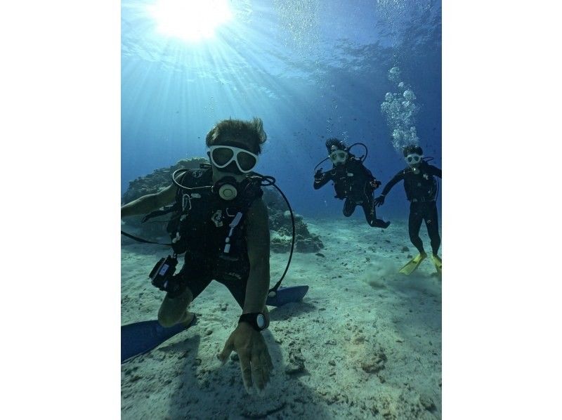 【沖縄・水納島・瀬底島】半日お得に２ダイブプラン！１グループにベテランガイド貸切！無料撮影込み日帰り離島FUNダイビング