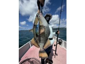 【沖縄・小浜島】沖縄の海でルアーフィッシング！チャーターで家族・グループ思いっきり楽しみましょう！半日コース